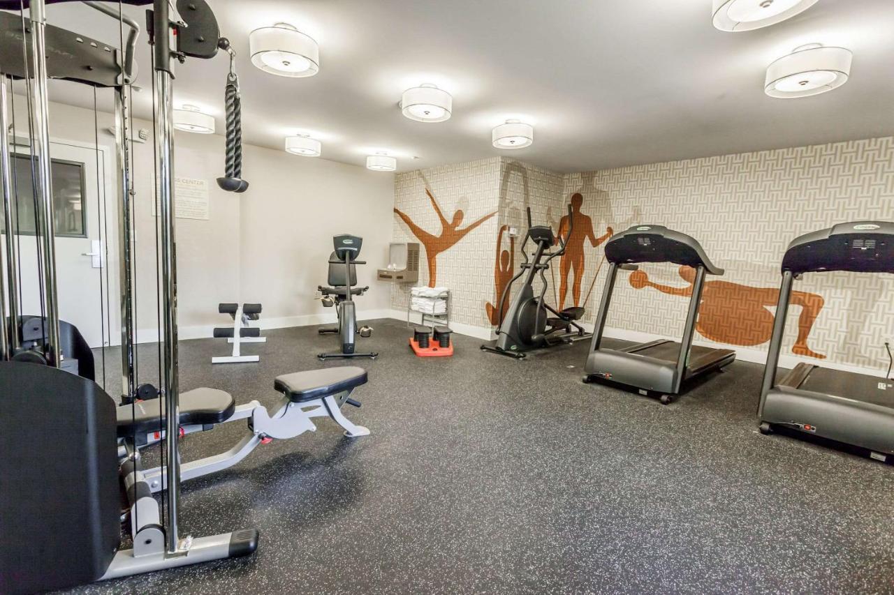 Mainstay Suites Detroit אובורן הילס מראה חיצוני תמונה