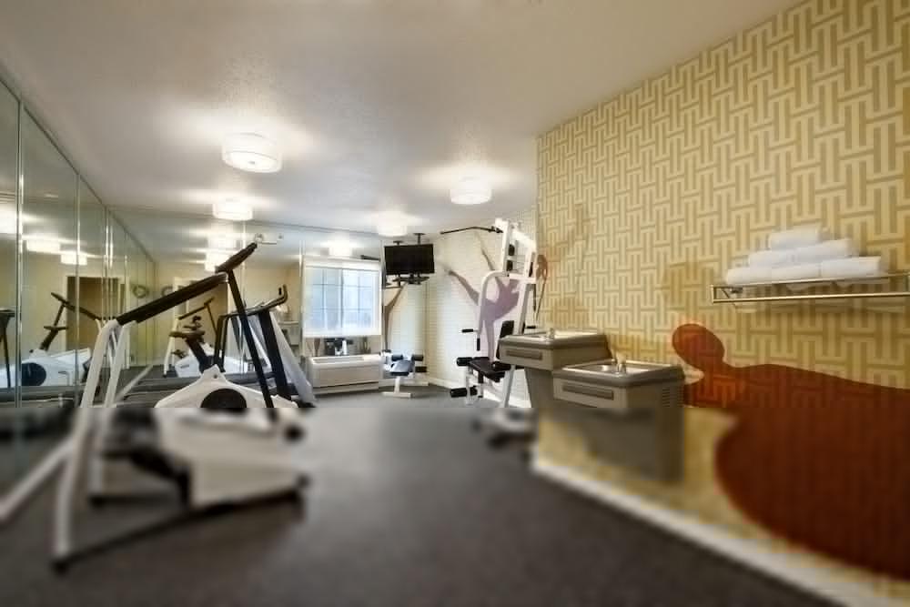 Mainstay Suites Detroit אובורן הילס מראה חיצוני תמונה